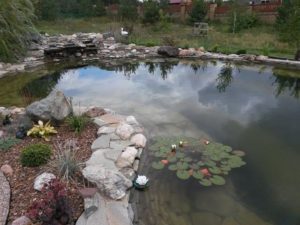 Искусственный водоём в саду. Строительство прудов в Краснодаре