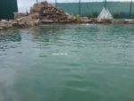 Искусственный пруд с островом и консольной беседкой в анапе (65)